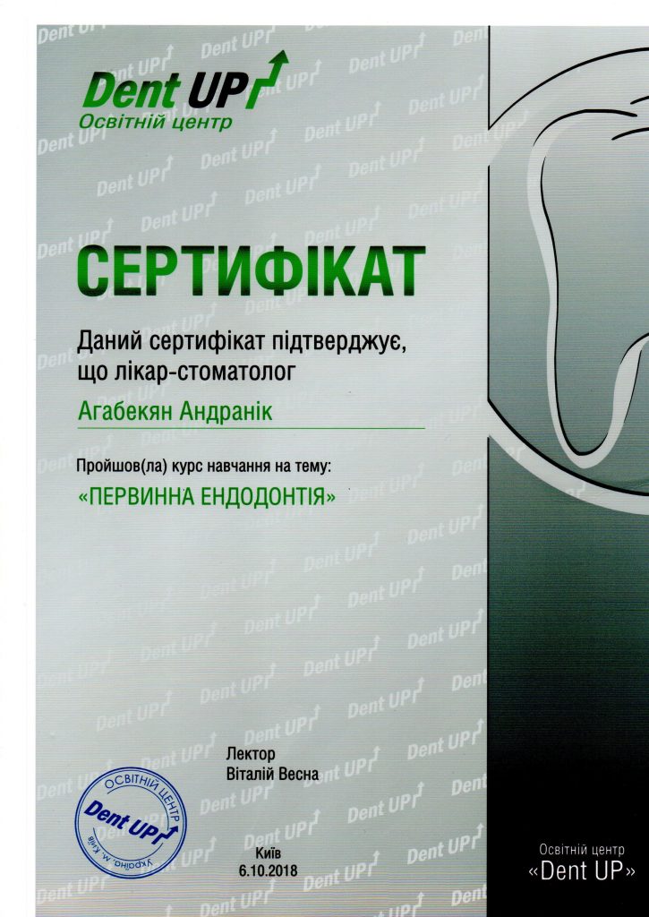 Certificado #9 - Aghabekyan Andranik Vachikovich